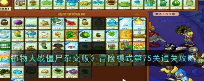 《植物大战僵尸杂交版》冒险模式第75关通关攻略